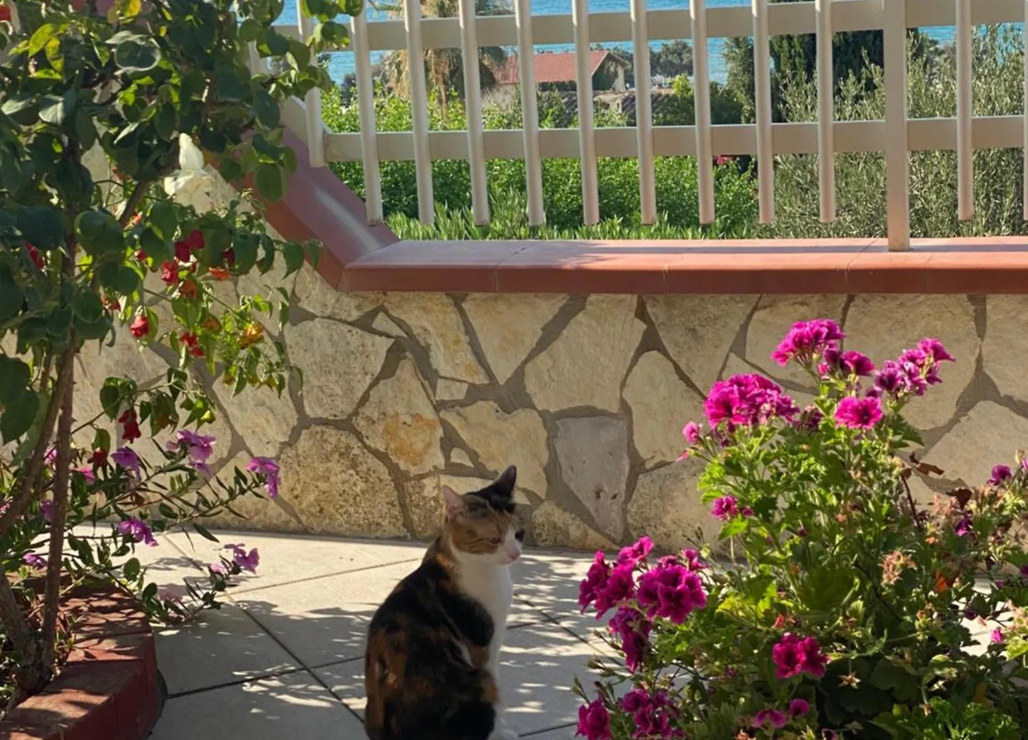 Villa Mare Giuggiola Alcamo Marina Italie